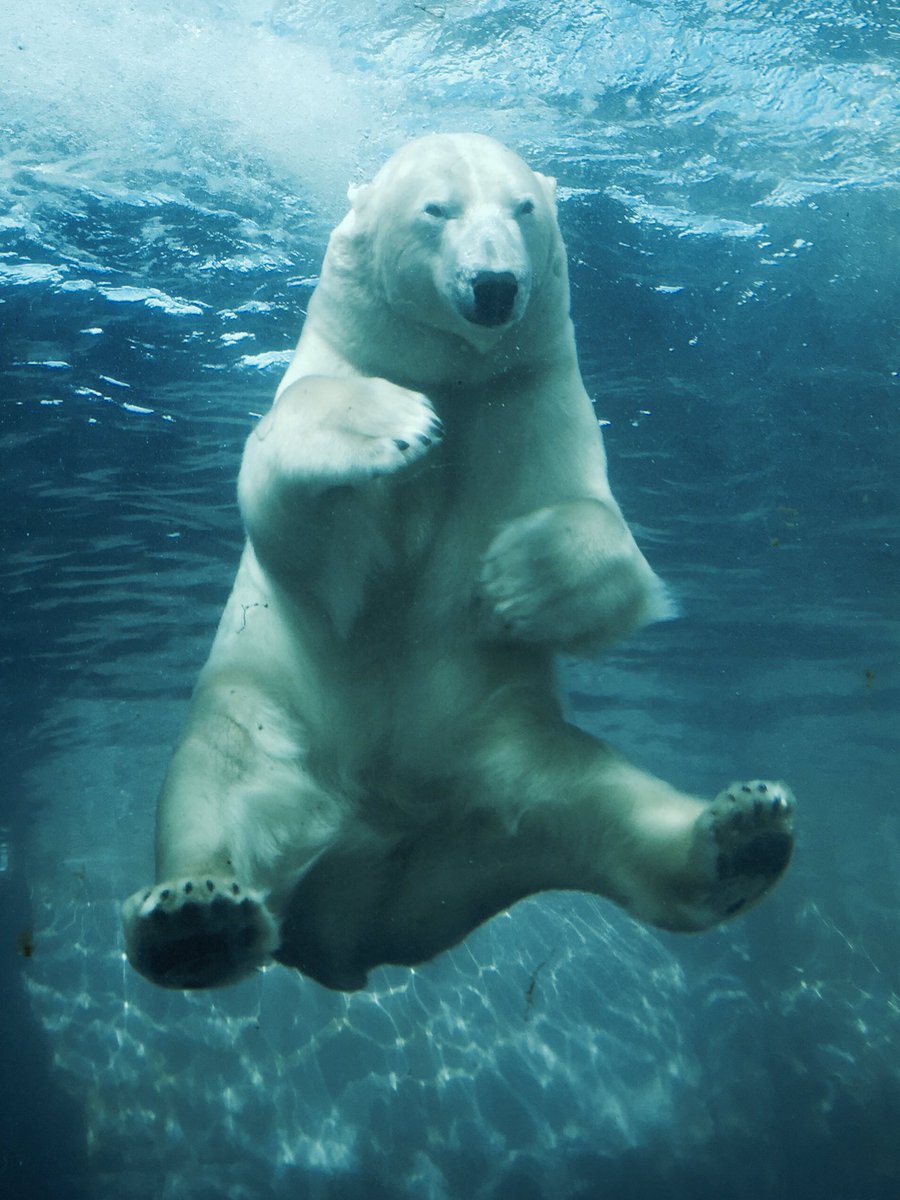 Tom Glover tweet media