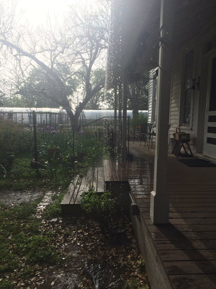 A rainy day at <a href="/BoggyCreekFarm/">Boggy Creek Farm</a>