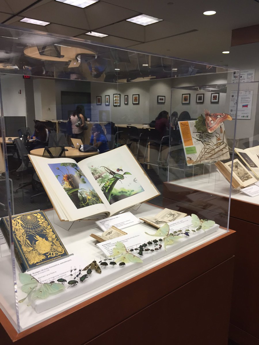 uflibexhibits's tweet photo. Next stop on #UFInsectTrail is @MSL_UF. Beautiful books from #BaldwinLibrary! Curated by Andrea Lucky. @salteri https://t.co/Tv0Ec1QZYP