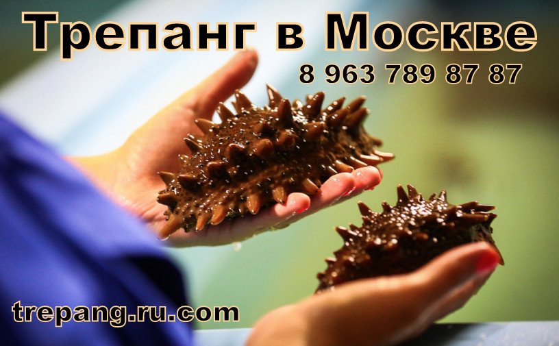 WWWTREPANG's tweet photo. Их к сожалению не так уж и много, но главное, что они есть и реально помогают человеку справится с его недугами. https://t.co/oLV5f1BJrh