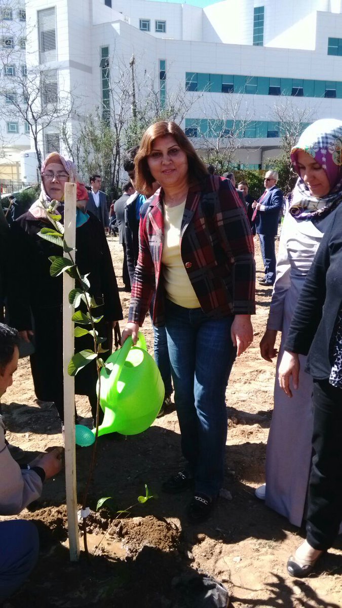 akkadinnz's tweet photo. NAZİLLİ ANADOLU İMAM HATİP LİSESİ ESMAÜL HÜSNA ORMANI FİDAN DİKME ETKİNLİĞİNDE FİDAN DİKTİK. https://t.co/ZYjKaBPkWF