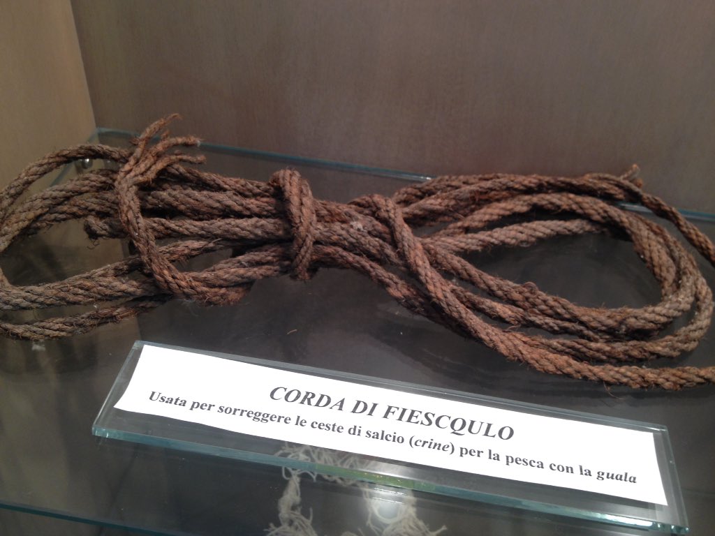 Trasimeno Lake tweet media