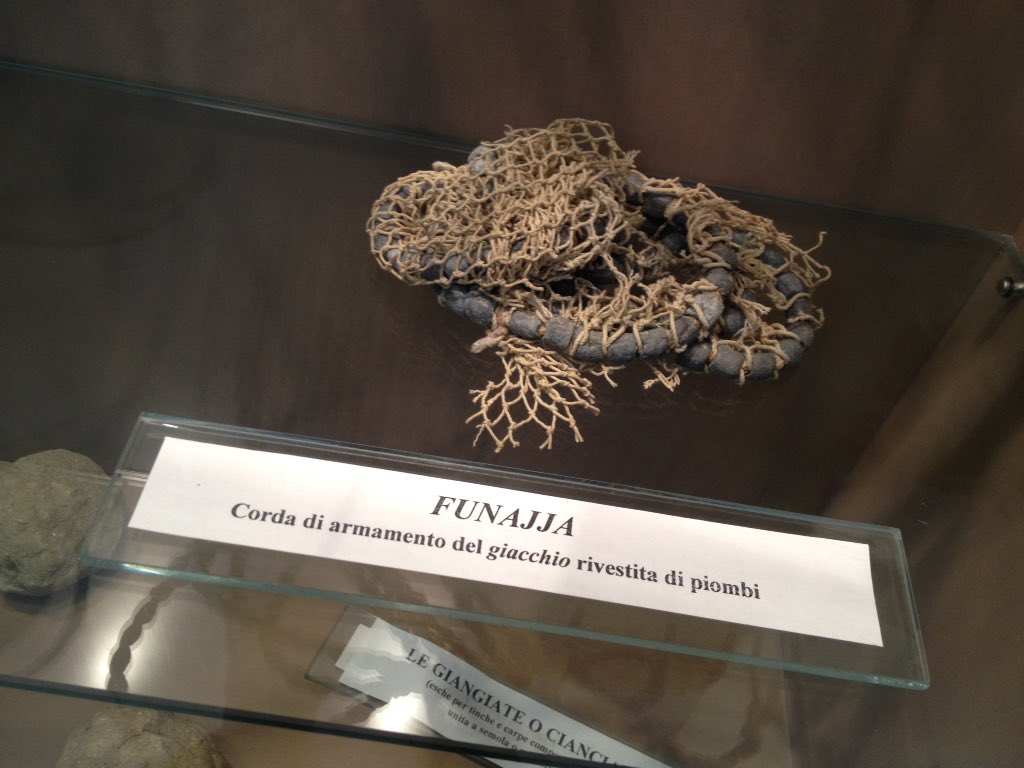 Trasimeno Lake tweet media