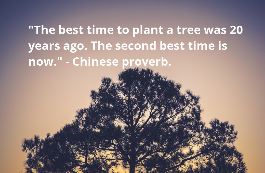 "The best time to plant a tree was 20 years ago. The second best time is now." - Chinese proverb.