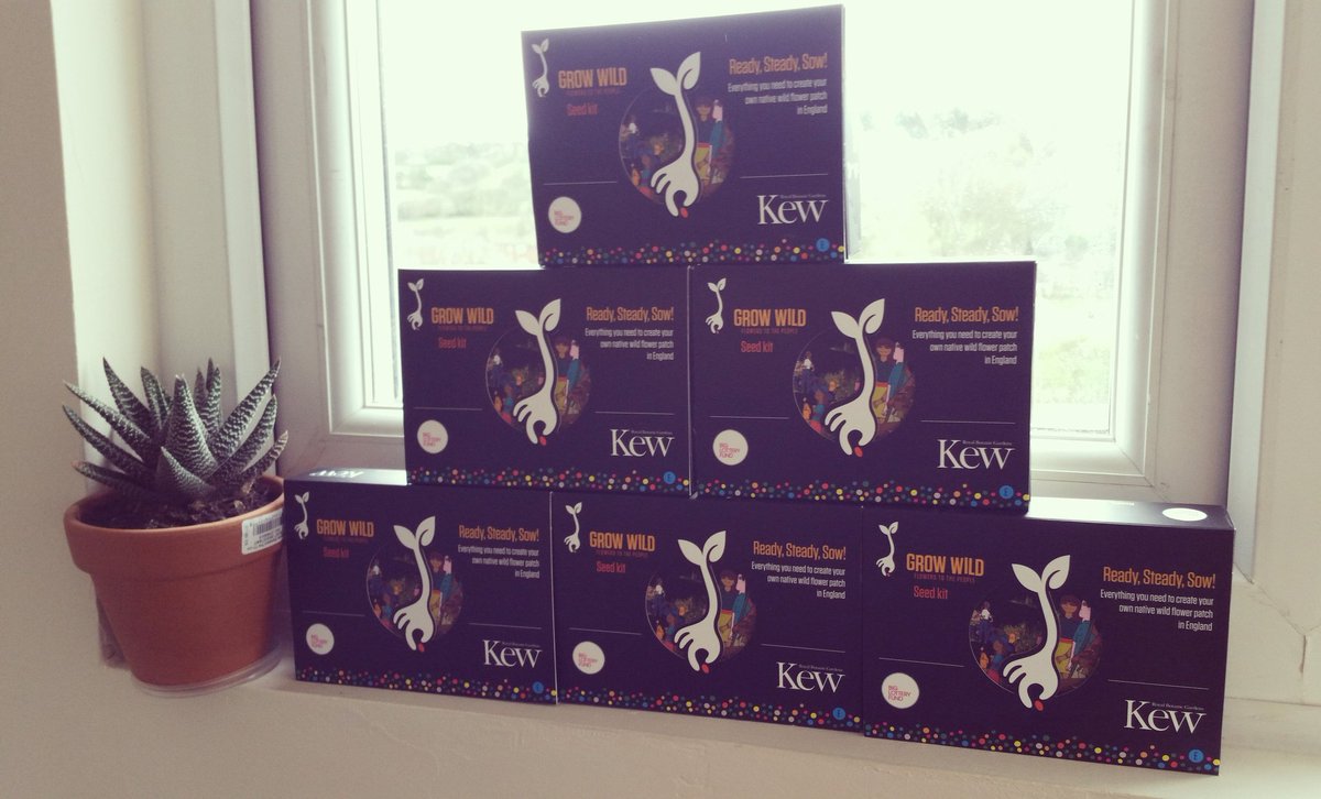 Our lovely Grow wild boxes arrived today  from @growwilduk woop!  #Leeds  #kirkstal  #growwild #nationallottery