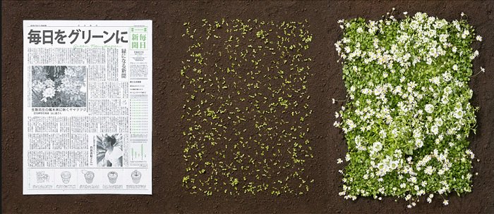n_tagliafierro's tweet photo. In Giappone esiste il giornale che può essere #piantato, è fatto di #carta e semi di fiori.
https://t.co/YQ51SBRjXp https://t.co/x2DC5g4nyg