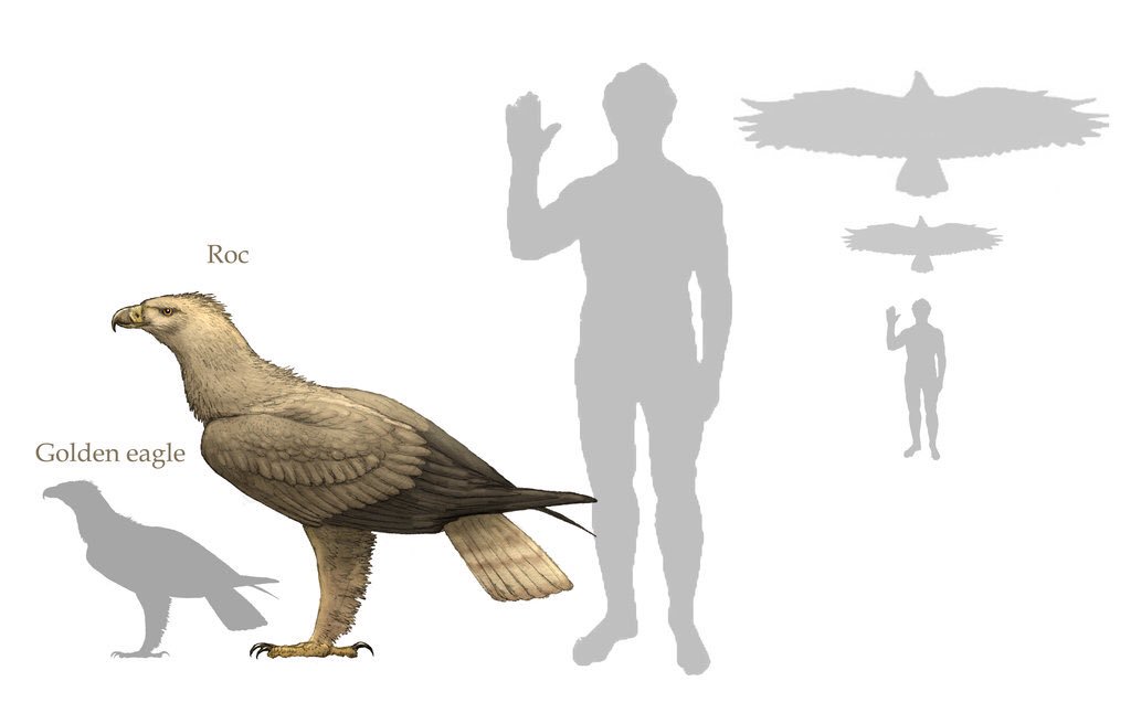 Top 107+ imagen aguila de haast Abzlocal.mx