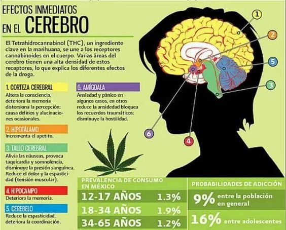 Pau4ever's tweet photo. @CannabicoEc @pacm1987 @PastazaCJ #NoMasConsumidoresPresos 13 gramos está dentro de la dosis de consumo https://t.co/U7axR543re