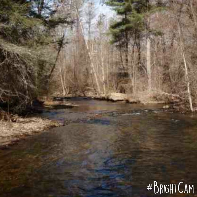 StonedMSUnicorn's tweet photo. My Stoned Nature adventure was lovely~
How can you not love the beauty 🙏🌈☁ #BaldEagle #Peace #Tranquility #RiverZen https://t.co/cxSxpVXOev