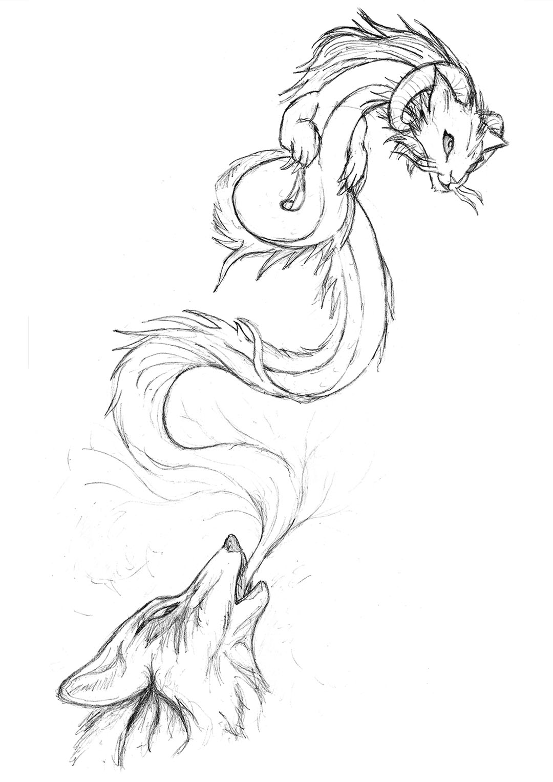 Tai Wuang Starrysky J Ai Dessine Un Loup Qui Crache Un Dragon Chat Avec Des Cornes De Belier A Partir De Modeles Pour Les Animaux T Co Srbva9wpqa Twitter