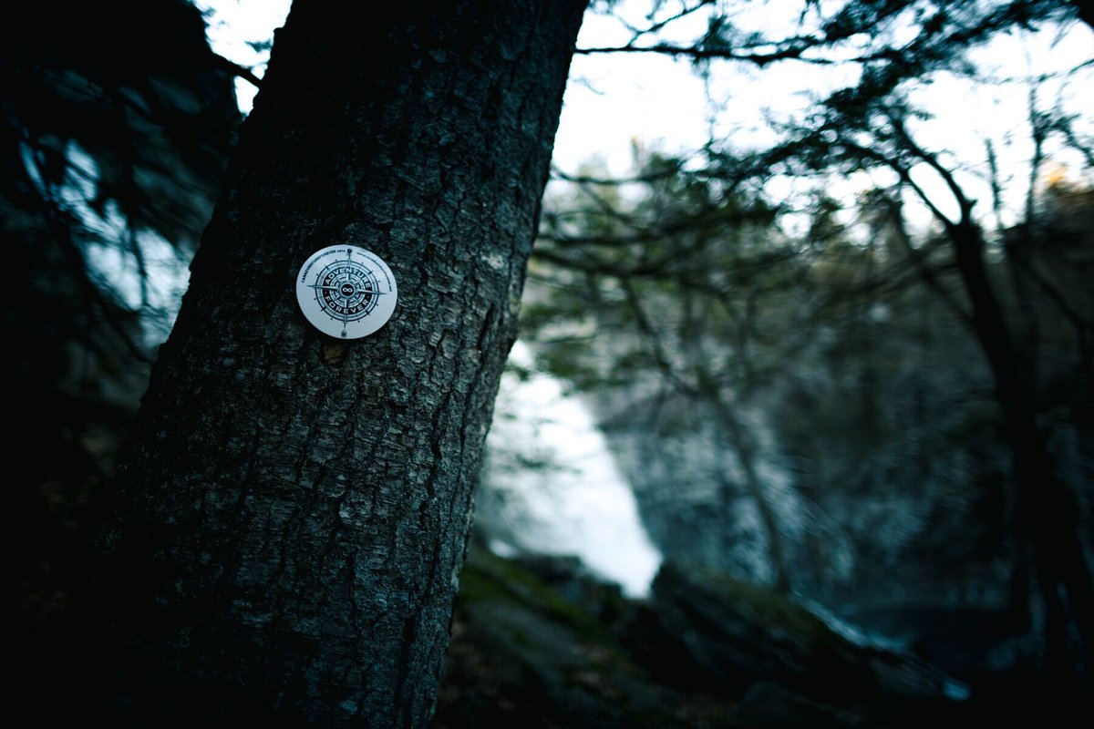 AdventureFrvr's tweet image. Making some announcements soon... #myadventureforever