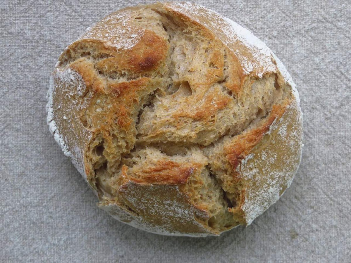 JohnzBakery's tweet photo. Sourdough rye oats @JohnzBakery  @michaelpollan Inspiration Cooked https://t.co/1kcDR2bevF