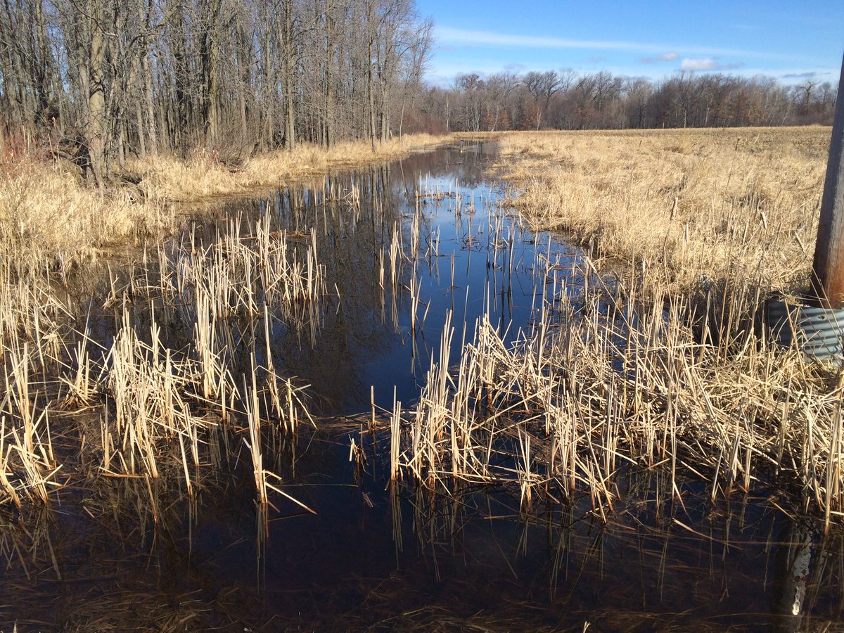 touhueyang's tweet photo. More fieldwork today! @PSF_GBFISHLAB @BarlamentJo @uwgb @uwgbchancellor https://t.co/rgTF6gjXRe