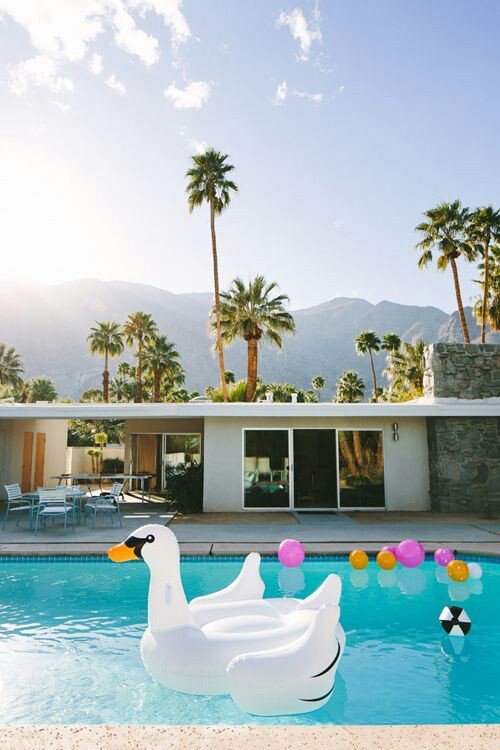 cassangeli's tweet photo. California spring dreamin' #springishere #dreambig #dreamspring #California #style https://t.co/ICNpP9fido