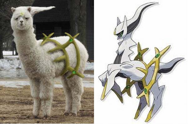 BrybryPokebip's tweet photo. omg, pendant tout ce temps, seigneur Arceus n'était en fait qu'un LAMA ??? https://t.co/xTBZKyUdt7