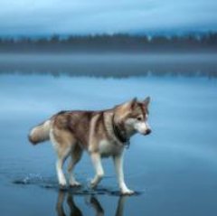 MetCapota's tweet image. National Geographic: The Best Photos

mynewsnet.co/0225dfd40a0871

#natgeo #NationalGeographic #photography #nature