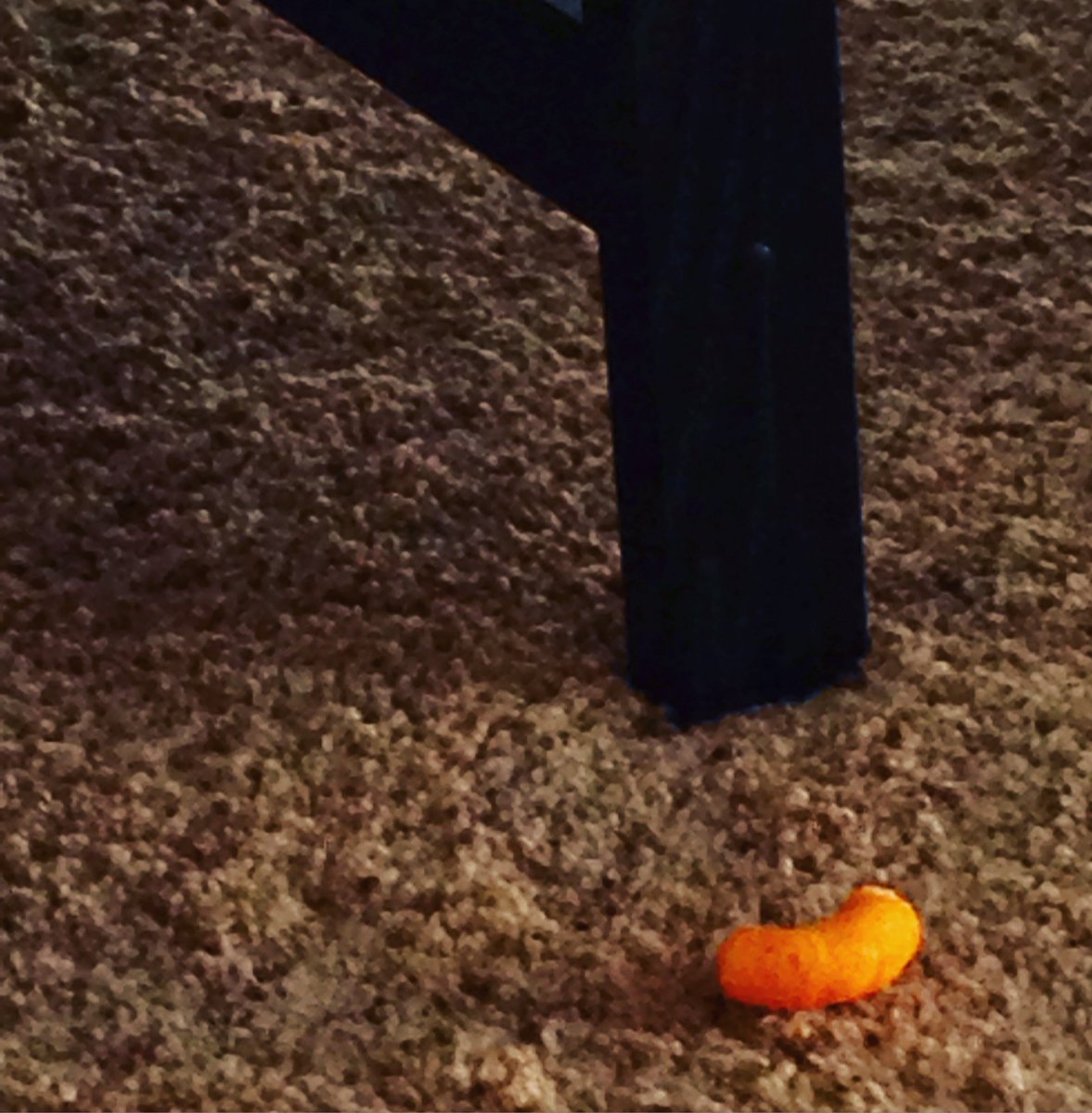 onecreativejoe's tweet photo. Portrait of a lonely #cheetospuff. #cheetos #art https://t.co/93JBGZM9Go