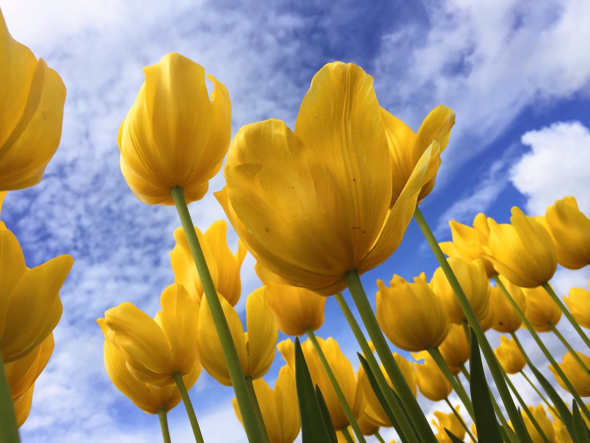 #Because Spring has sprung! Start the season off with total body care and schedule an appt at Massage Envy!