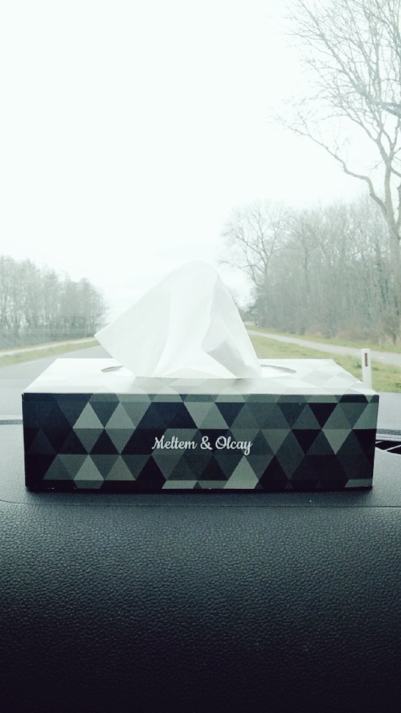 ymeltem_'s tweet photo. Meltem & Olcay - we love everything personal. #couplethings #ill #havingacold #tissues https://t.co/Tv46uqzW6D