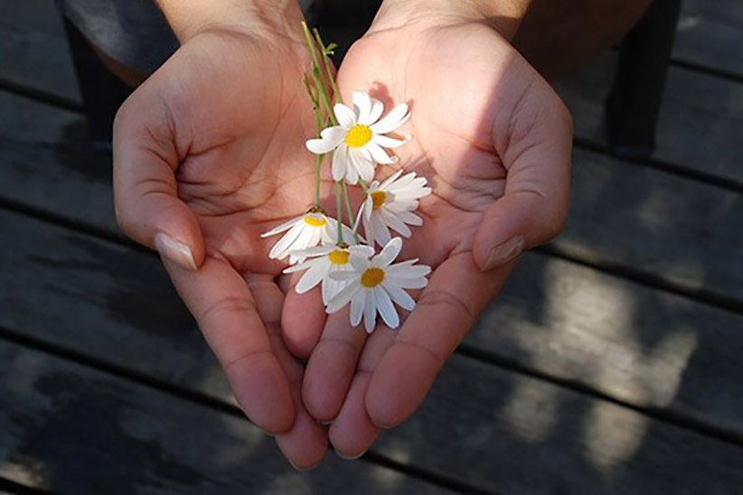 8 Effortless Ways to Make Kindness Part of Every Day buff.ly/1UmIvYn