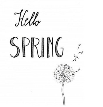 NewMediaDigital's tweet photo. #firstdayofspring https://t.co/BkIuKBXXvM