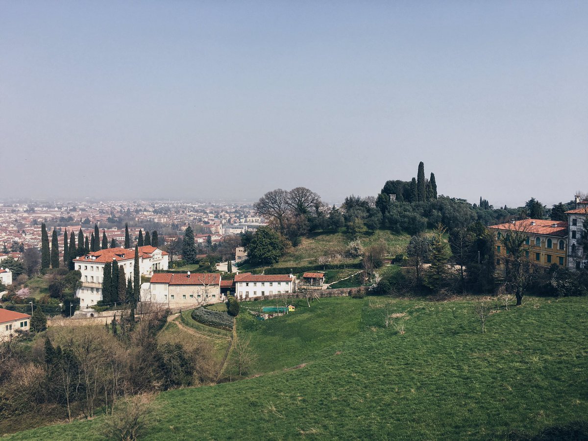 studioVitaliano tweet picture