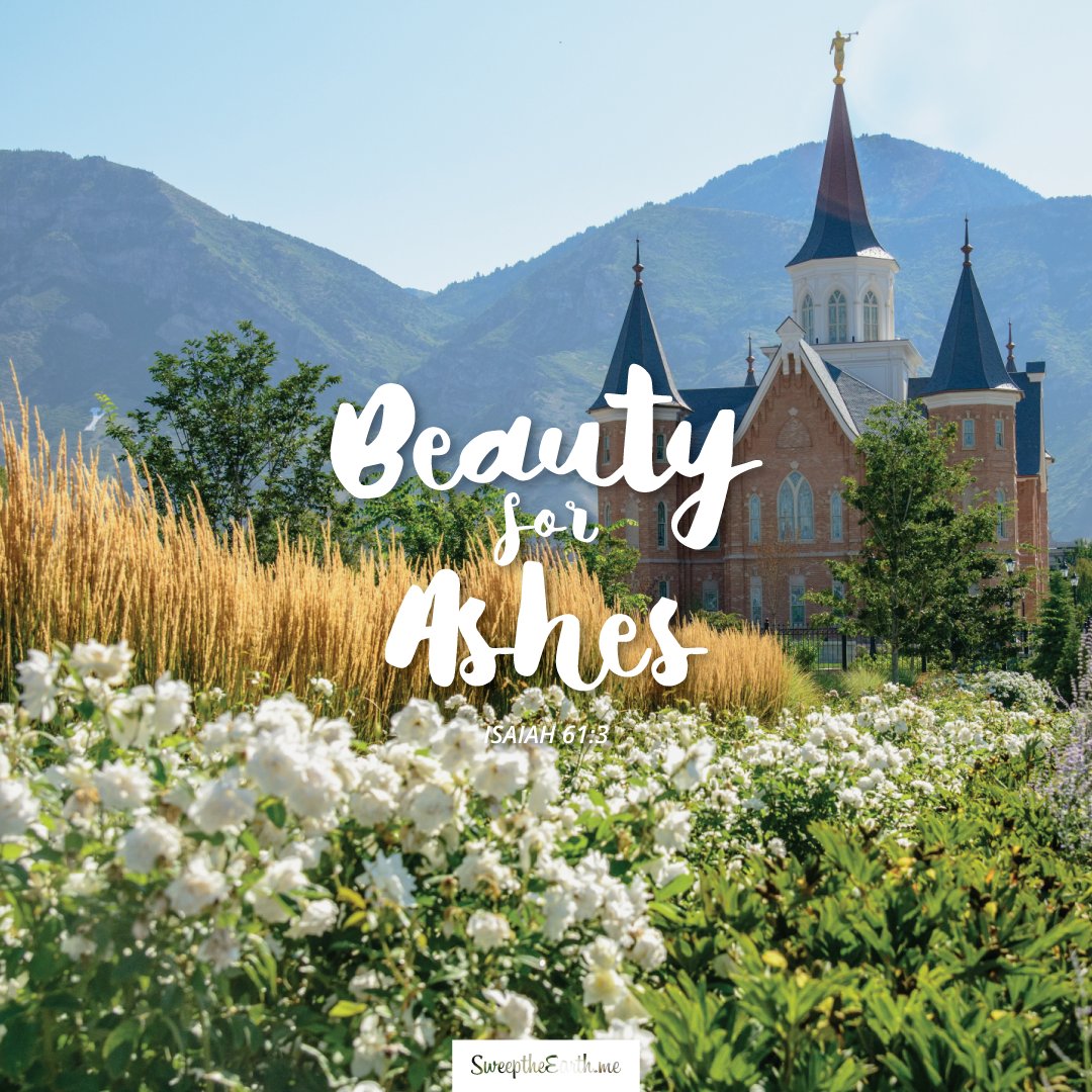 _sweeptheearth's tweet photo. Give unto them beauty for ashes. –Isaiah 61:3 #sweeptheearth #sharegoodness #hallelujah #bestday #beautyforashes https://t.co/5juDTeDtxf