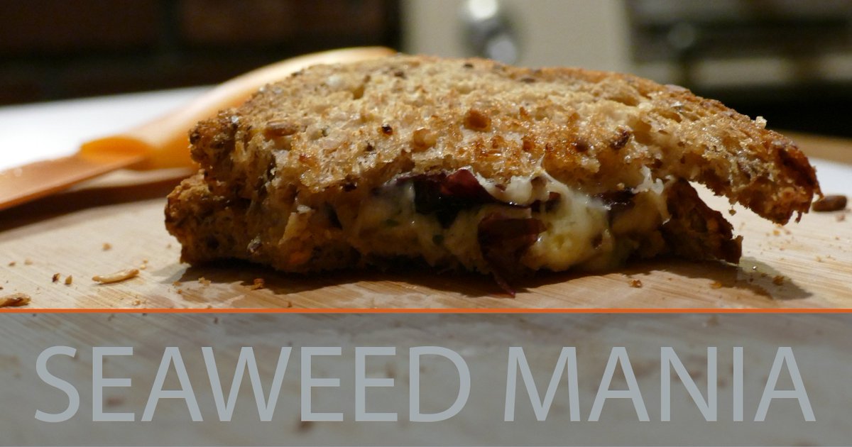 Up your grilled cheese game with #seaweed: unh.me/ZGjYu