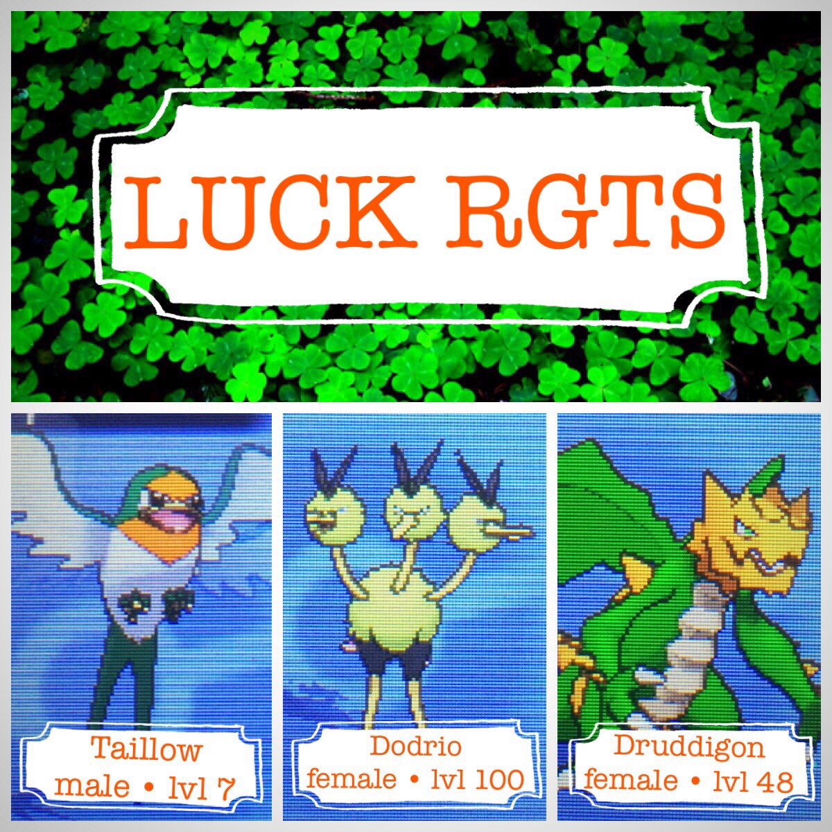 PokeJessica's tweet photo. ✨LUCK 🍀 RGTS✨

NOW OPEN
Deposit: Oddish
Code: PokeJessLuck

You may have 1 of each!
Be kind no sniping!

Have fun!
💚 https://t.co/VGAwwVX27d