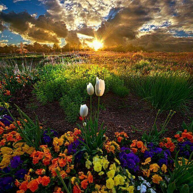 RUL_for_friends's tweet image. 👍💋💗 #SpringFever2016