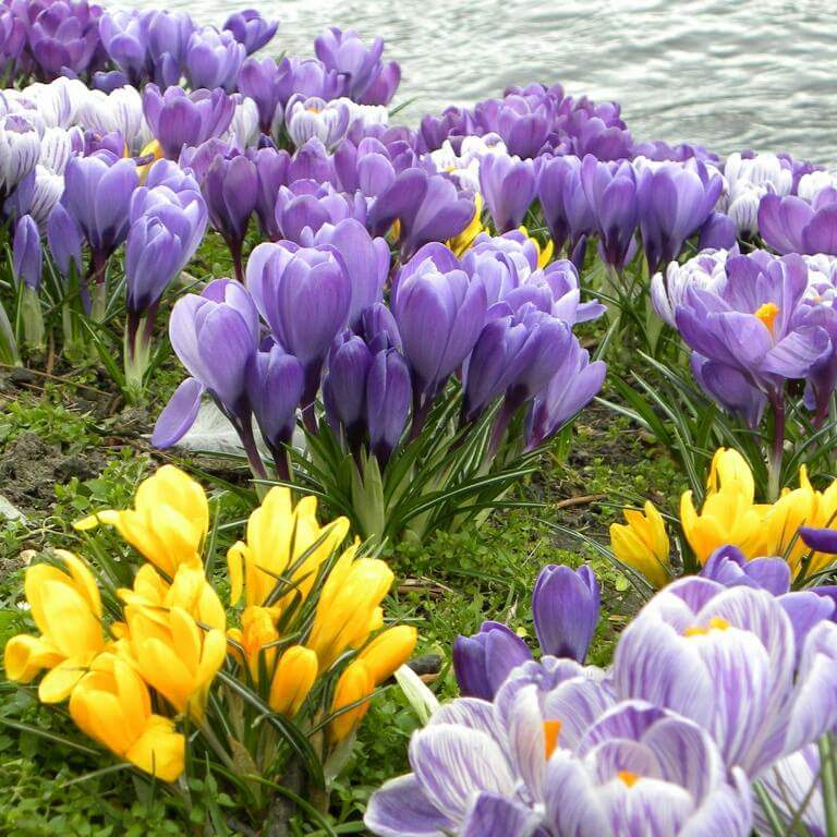 RUL_for_friends's tweet image. 👍💋💗 #SpringFever2016