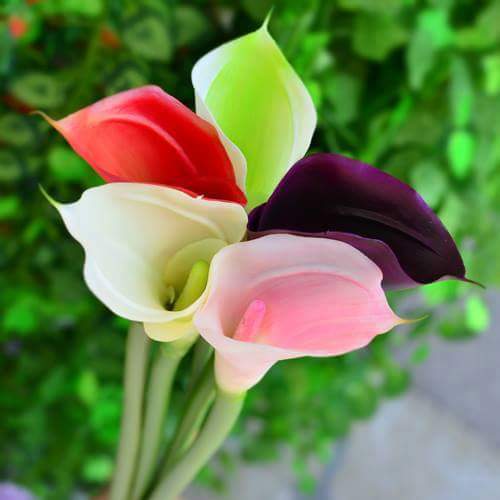 RUL_for_friends's tweet image. 👍💋💗 #SpringFever2016