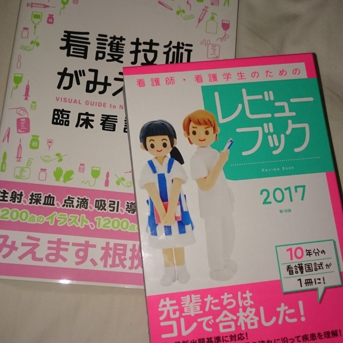 今年のレビューブックはピンク！インデックスシールは今年から