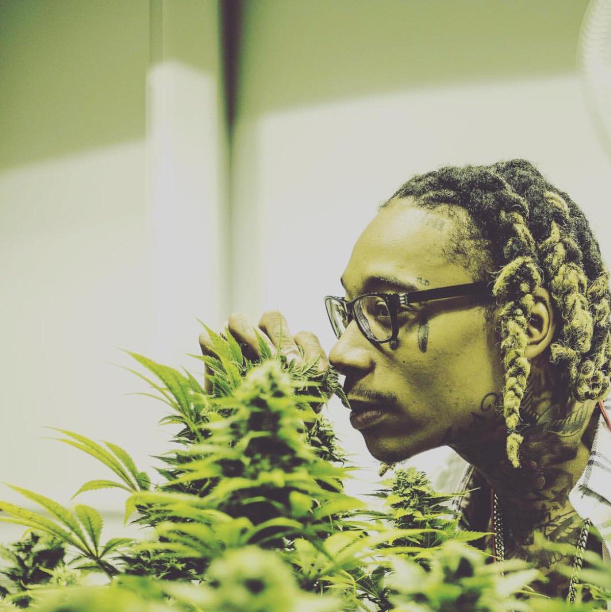 cybertruckprod's tweet photo. @wizkhalifa Dr. Wiz π #Legalize #Budstobillions #KK #TaylorGenetics https://t.co/FgYJqMvaZt