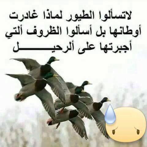 Zo9Sa's tweet photo. @yaseer809 @tweepaya @yass7er https://t.co/jxEAI2oBF9