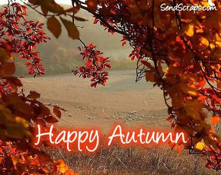 Malcolm_Costa's tweet image. #happy autumn in Brazil! 🇧🇷 #firstdayofautum
