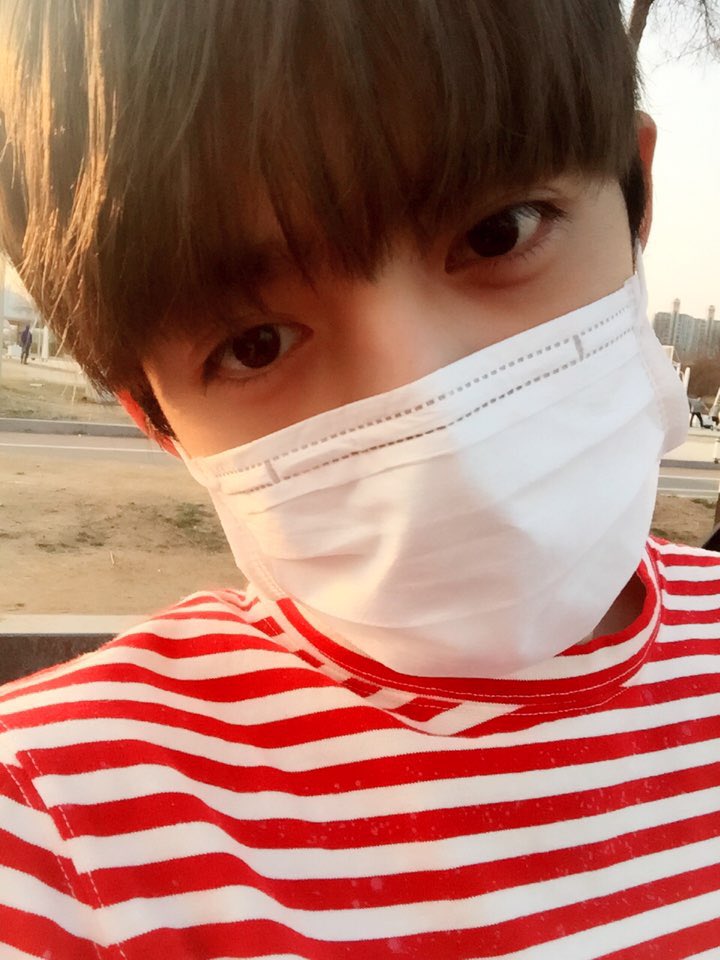 세븐틴(SEVENTEEN) tweet media