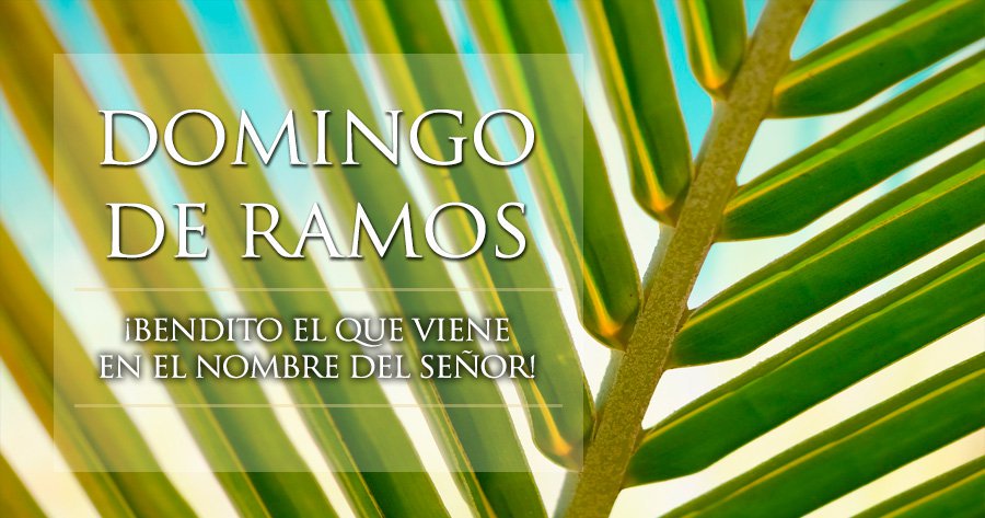 WEricel's tweet photo. Feliz #DomingodeRamos  "Bendito el que viene en el Nombre del Señor" https://t.co/DTlUeS91BM