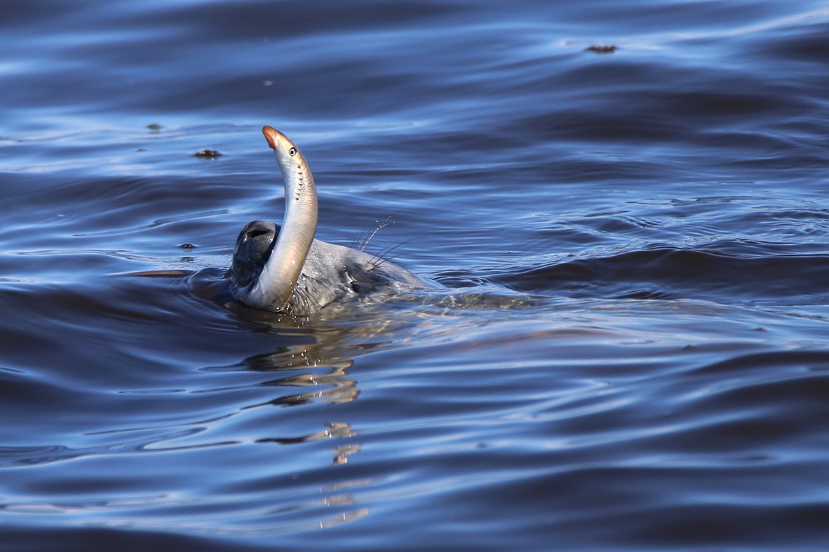 Victor Ivanov tweet media