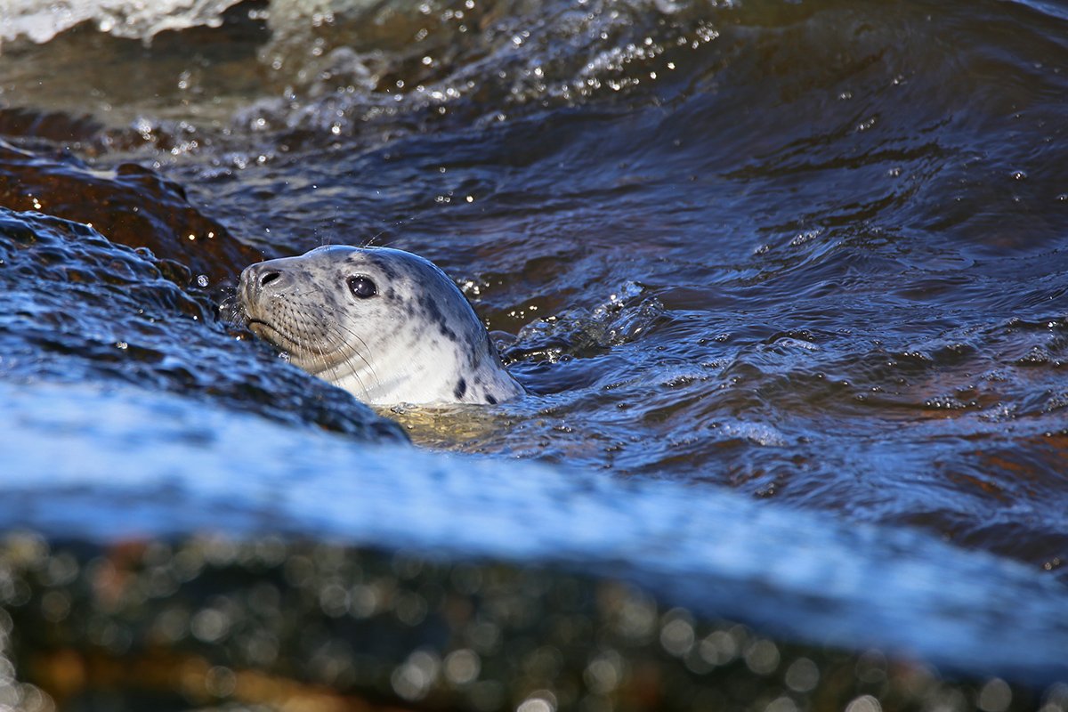 Victor Ivanov tweet media