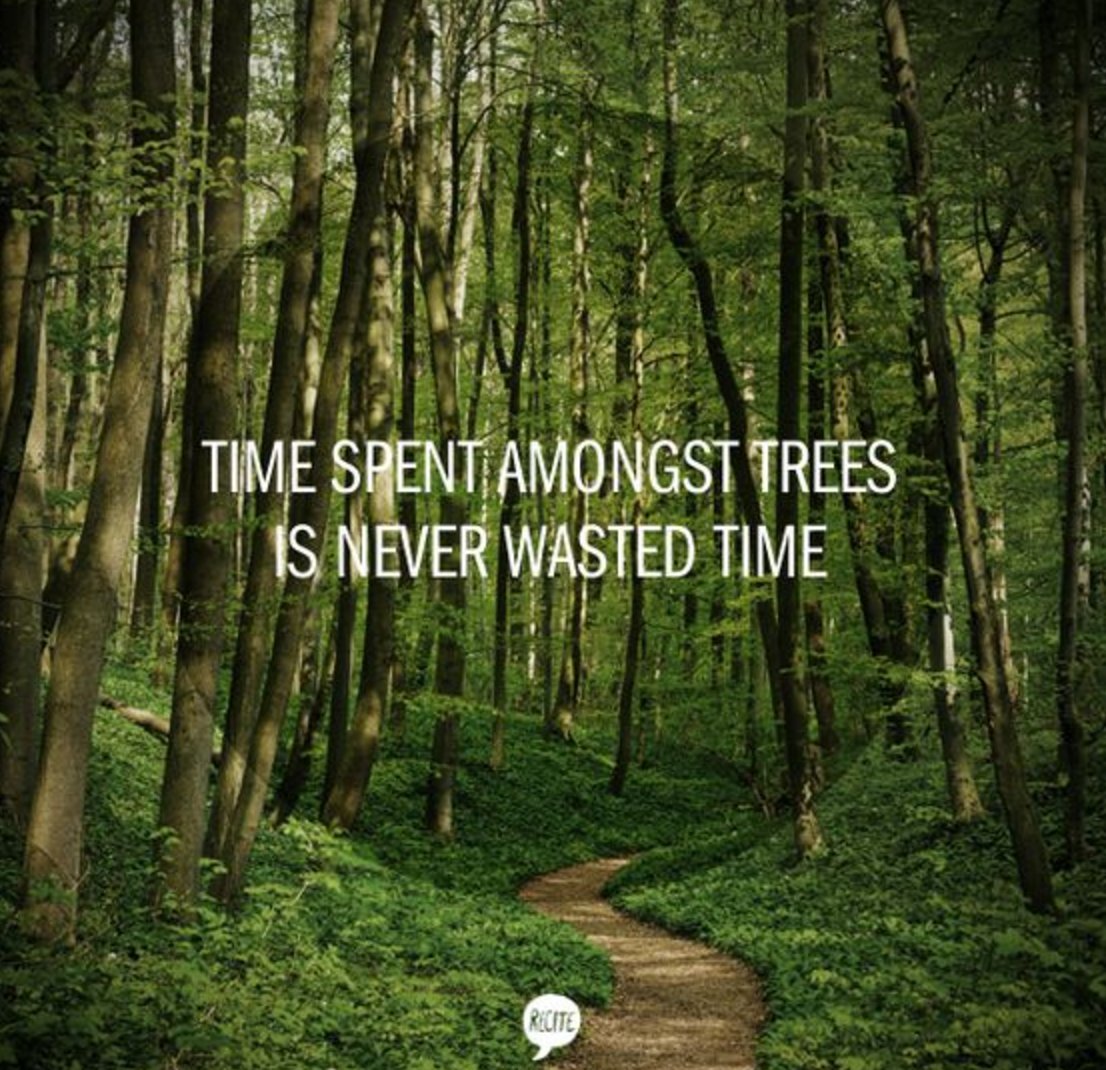 AmazologyMen's tweet photo. We couldnβt agree more. #EnvironmentalQuote https://t.co/5X3ZuHu6xF