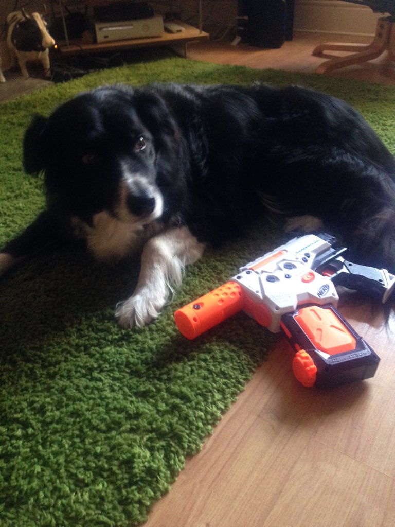 kimbritland's tweet photo. @ShaunClarey a dog and a watergun. 😂 https://t.co/jOzu0rVL1J