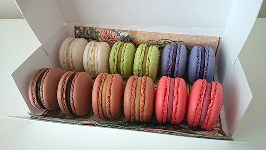 MacaronsGTA's tweet photo. Assorted Macarons – Box https://t.co/YCunbjOKHB https://t.co/0tnvbHsO7W