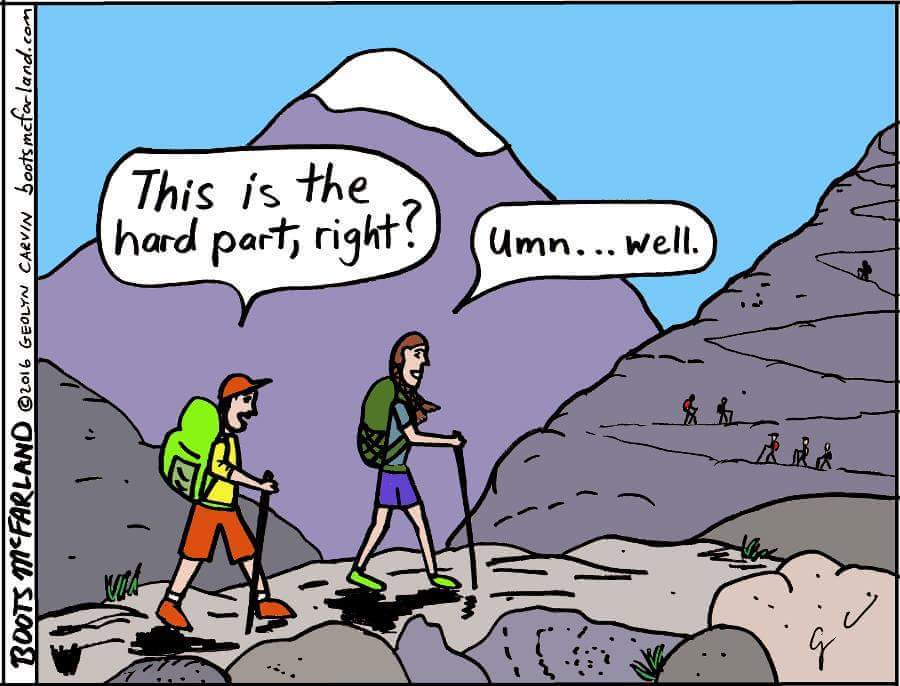Hiking tweet media