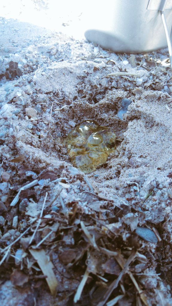 LNT_Adventures's tweet photo. Scrape a hole in the beach, a bit of @VangoFuel then place your mug over. #latte. https://t.co/4PjpclLT99