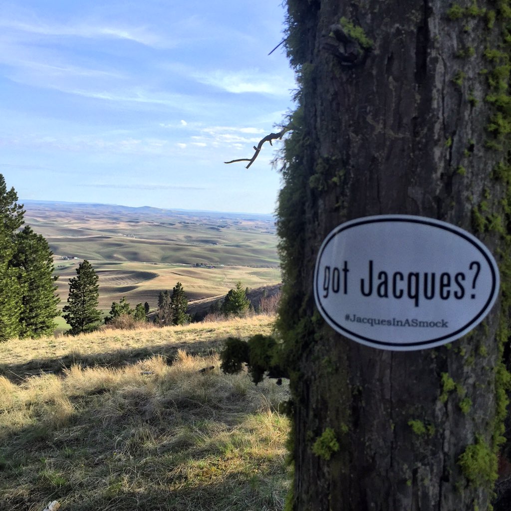 bread_tweets's tweet photo. Word has reached the wood! Even hikers have got Jacques! ๐๐ #JacquesInASmock #gotJacques? #PNW #palouse #washington https://t.co/HC6j1h62dB