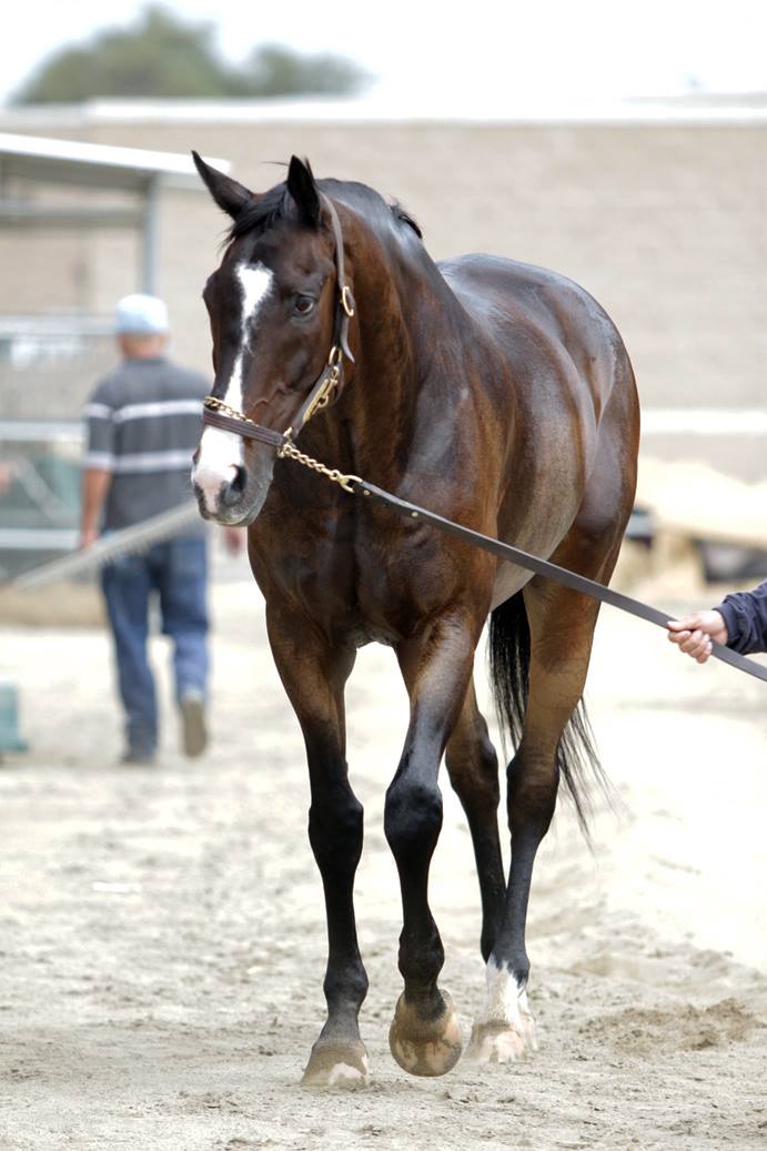 It’s this sexy beast’s 15th birthday today!  Extra cookies for Coach <a href="/IamLavaMan/">I Am Lava Man</a>! #TeamONeill