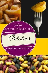 STDiscover2015's tweet photo. Love spuds? Your Comprehensive Guide to Growing Potatoes with ... https://t.co/wKN3lVAZlx #potato #garden #vegetable https://t.co/gCFC79laBs