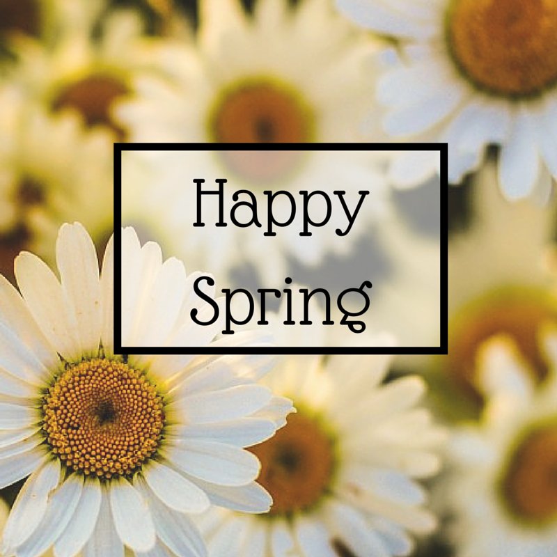 Dalawho_eth's tweet photo. Happy day! Happy Spring! #firstdayofspring #InternationalDayOfHappiness #edistobeach #southcarolina https://t.co/cIXHufkryL