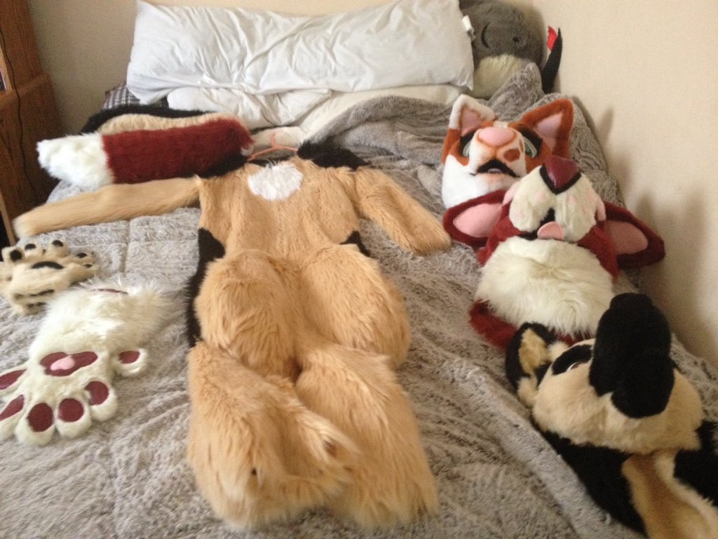 Willowpupz's tweet photo. Today's gonna be a long day x,D #3suits https://t.co/2acXvFgeRJ